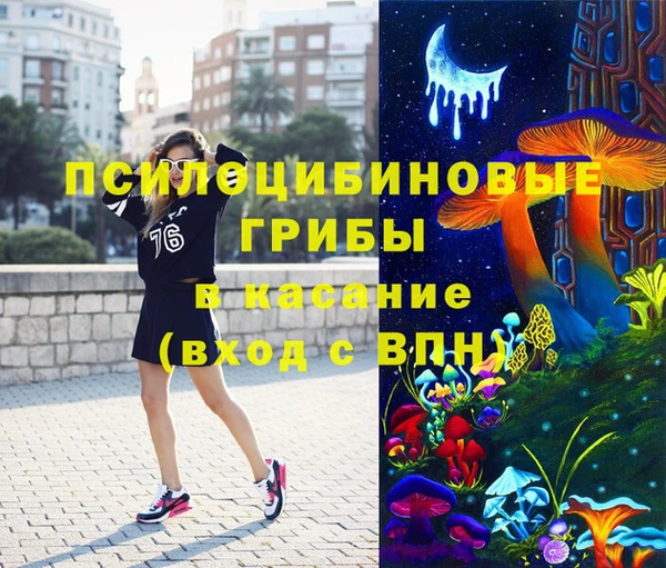 стафф Волоколамск
