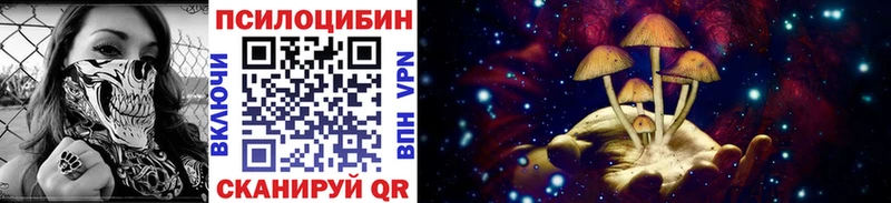 Псилоцибиновые грибы Psilocybine cubensis  купить  сайты  Дальнереченск 